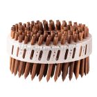 CHIODI COIL LIGNOLOC LISCI
